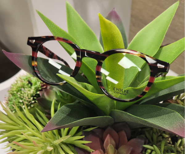 lifetime vision care bend oregon optomitrist glasses c lifetime vision care bend oregon optomitrist glasses c
